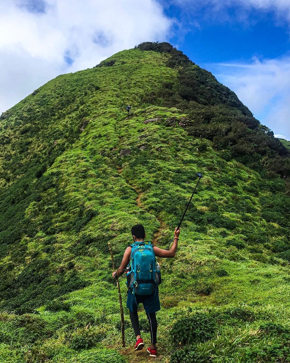 Hiking and Wilderness